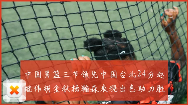 中国男篮三节领先中国台北24分赵继伟胡金秋杨瀚森表现出色助力胜利